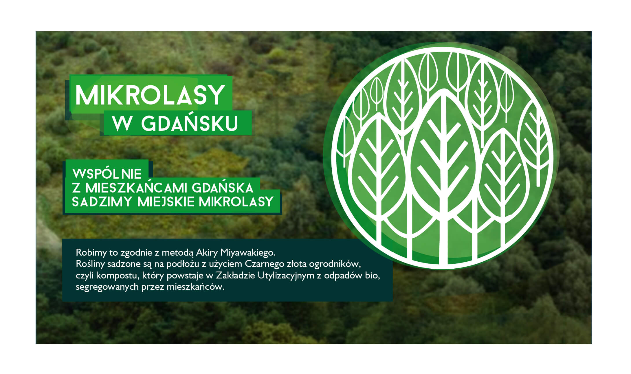 Baner graficzny projektu Mikrolasy